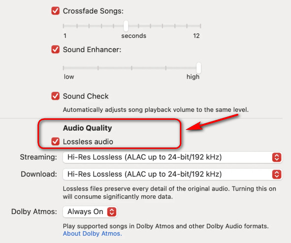 Turn on Lossless Audio