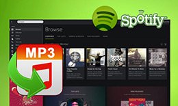 Best Spotify to MP3 Converter