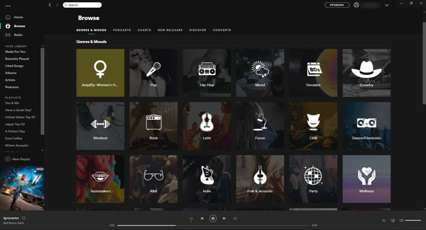 Spotify interface on Windows